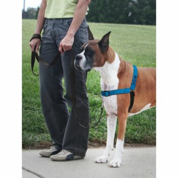 PetSafe Postroj EasyWalk Deluxe modrý veľkosť M/L