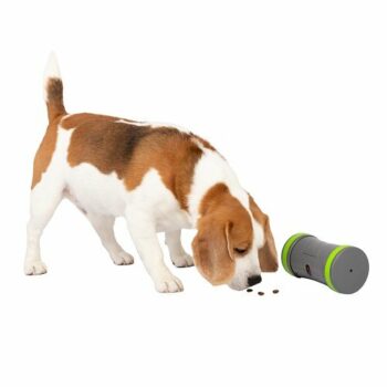 PetSafe® Kibble Chase™ Elektronická hračka pre psov