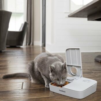 PetSafe® Krmítko Automatic 2 Meal Pet Feeder