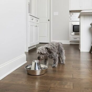 PetSafe® Seaside Nehrdzavejúca fontánka 1,8 l