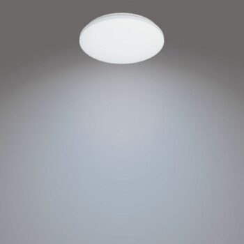 Philips 8720169196070 stropné LED svietidlo Izso 1x 24 W 2500lm 2700-6500K, pr. 38 cm + ovládač