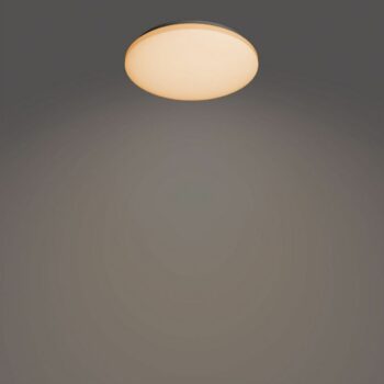 Philips 8720169196070 stropné LED svietidlo Izso 1x 24 W 2500lm 2700-6500K, pr. 38 cm + ovládač