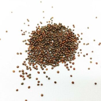 Plastia Microgreens štartovacia sada