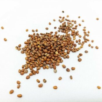 Plastia Microgreens štartovacia sada