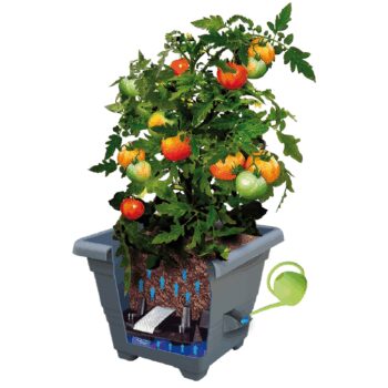 Plastia Samozavlažovací kvetináč Bergamot,antracit, 60 x 60, 60 x 60 cm