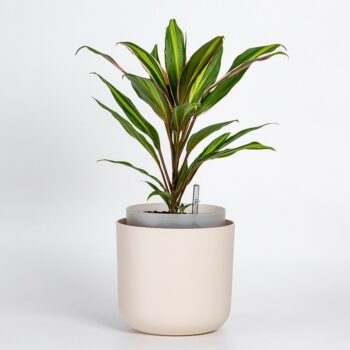 Plastia Samozavlažovací kvetináč Tolita béžová, pr. 16 cm, pr. 16 cm