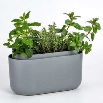 Plastia Samozavlažovací truhlík Tolita sivá, 31 x 16 cm