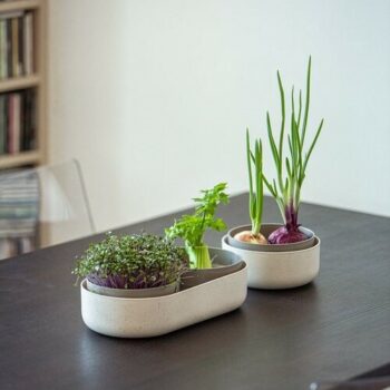 Plastia Veľká farma Microgreens+Regrow, slonová kosť