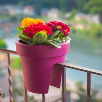 Prosperplast Kvetináč na zábradlie Lofly Railing fuchsiová, 24,5 cm, 24,5 cm