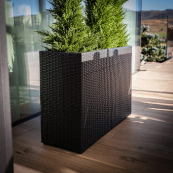 Ratanový kvetináč Rams v elegantnej čiernej farbe je ideálnym doplnkom pre váš interiér aj exteriér. Tento moderný kvetináč od značky KONDELA kombinuje štýlový dizajn s praktickosťou, čo ho robí vhodným pre rôzne priestory a dekorácie. Vďaka svojmu hranatému tvaru a tmavej farebnosti sa ľahko…