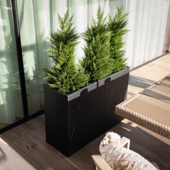 Ratanový kvetináč Rams v elegantnej čiernej farbe je ideálnym doplnkom pre váš interiér aj exteriér. Tento moderný kvetináč od značky KONDELA kombinuje štýlový dizajn s praktickosťou, čo ho robí vhodným pre rôzne priestory a dekorácie. Vďaka svojmu hranatému tvaru a tmavej farebnosti sa ľahko…