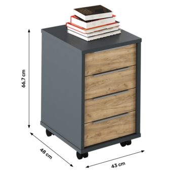 S kontajnerom na kolieskach RIOMA NEW TYP 14 nikdy nebudete mať núdzu o úložný priestor. Jeho rozmery sú (ŠxHxV): 43x48x66,7 cm, pozostáva zo štyroch šuplíkov. Určený je napríklad k písaciemu stolu Rioma New Typ 11, avšak určite nájde využitie aj ako samostatný kúsok. Stojí na kolieskach, vďaka…