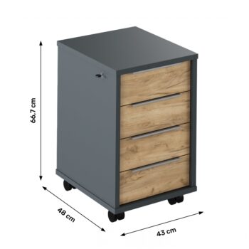 S kontajnerom na kolieskach a so zámkom RIOMA NEW TYP 30 nikdy nebudete mať núdzu o úložný priestor. Jeho rozmery sú (ŠxHxV): 43x48x66,7 cm a pozostáva zo štyroch šuplíkov. Tajné dokumenty a to, čo musí zostať skryté, môžete uzavrieť pod zámok, ktorým kontajner disponuje. Stojí na kolieskach, vďaka…