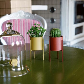 Predstavujeme vám elegantný kovový kvetináč Rozel, ktorý prichádza v balení po dvoch kusoch a je dostupný v atraktívnej kombinácii červenej a žltej farby. Tento moderný kvetináč je ideálnym doplnkom pre váš interiér, kde dodá šmrnc a štýl každému priestoru.