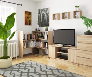TWISTR: Elegantná knižnica v odtieni dub Sonoma Oživte svoj interiér regálom, ktorý kombinuje kvalitu a dizajn. S TWISTR pridáte svojej obývačke, kancelárii alebo pracovne sofistikovaný dotyk prírodného dreva.  Typ tovaru: Regál, knižnica < li>Miestnosť: Vhodné do obývacej izby, kancelárie či pracovne Materiál: LTD Rozmer: 109.3 x 173.6 x 30 cm Farba: dub Sonoma Vybavenie: 3 police  Nechajte sa očariť dokonalou kombináciou funkcie a estetiky. TWISTR sa stane nielen praktickým kúskom nábytku, ale aj výrazným prvkom vášho interiéru.