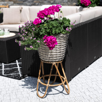 Predstavujeme vám Stojan na kvety Silir - prírodná, ktorý je ideálnym doplnkom pre váš interiér. Tento moderný stojan je vyrobený z kvalitného prírodného ratanu, čo mu dodáva nielen estetický vzhľad, ale aj trvanlivosť a odolnosť. S rozmermi 36 cm na šírku, 36 cm na hĺbku…