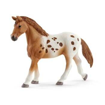 Schleich 42433 Appalosské kone a tréningové príslušenstvo, 7 ks