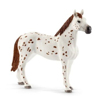 Schleich 42433 Appalosské kone a tréningové príslušenstvo, 7 ks