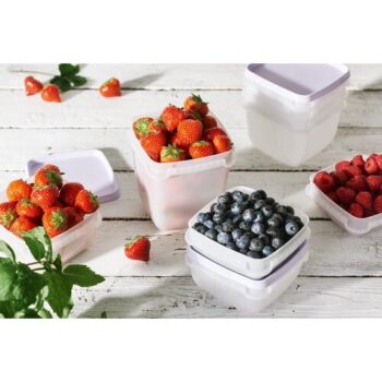 SmartStore Sada plastových dóz Freezer 4 ks, levanduľa, 750 ml, 750 ml