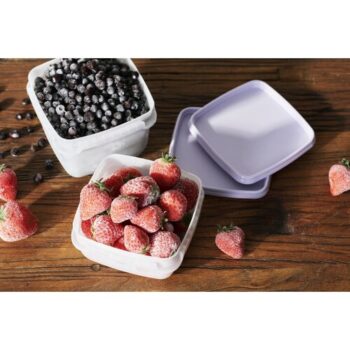 SmartStore Sada plastových dóz Freezer 4 ks, levanduľa, 750 ml, 750 ml
