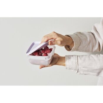 SmartStore Sada plastových dóz Freezer 5 ks, levanduľa, 500 ml, 500 ml