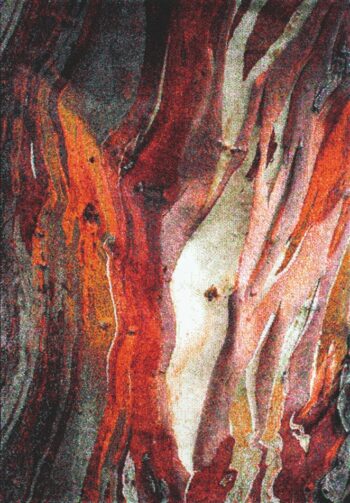 Spoltex, Kusový koberec Rust red 21304-910, 80x150, viacfarebná, obývacia izba