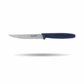 Praktický steakový nôž z línie Master Blue so zúbkovanou čepeľou je dokonalým pomocníkom pri krájaní mäsa. Vďaka svojej ostrej zúbkovanej čepeli je ideálny na prípravu steakov a krájanie tvrdších surovín. Tento praktický nôž je ideálnym kúskom pre tých, ktorí si radi vychutnávajú kvalitný steak a iné mäsové pochúťky.