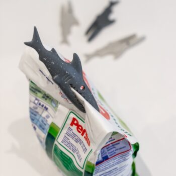 Štipce na bielizeň SHARKY, 20 ks