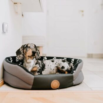 TICKLESS® Home Ultrazvukový odpudzovač kliešťov, bĺch a roztočov pre domácnosť sivá