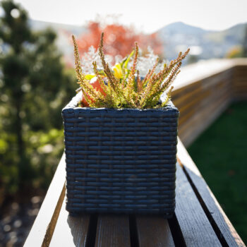 KONDELA Tyrion ratanový kvetináč čierna – Obrázok 4