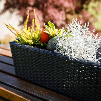 Ratanový kvetináč Tyrion v elegantnej čiernej farbe je ideálnym doplnkom pre váš interiér aj exteriér. Tento moderný kvetináč od značky KONDELA kombinuje štýlový dizajn s praktickosťou, čo ho robí vhodným pre rôzne priestory a dekorácie.