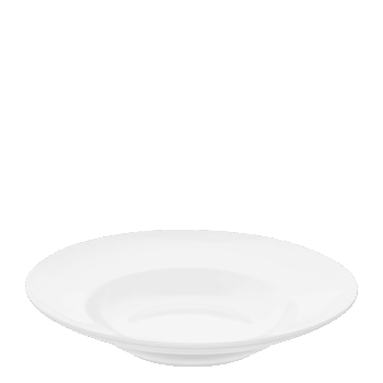 Univerzálny plytký tanier na cestoviny z porcelánu v minimalistickom dizajne je vhodný pre všetky príležitosti spojené so stolovaním. Tento porcelán ocenia nároční zákazníci v každej domácnosti. Tanier je vhodný do umývačky riadu aj mikrovlnnej rúry.
