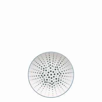 Porcelánovým tanierom z kolekcie Elements Asia Earth dodáte vášmu stolovaniu čerstvý vánok. Tento model sa pýši originálnym dizajnom, ktorý dáva priestor vašej fantázii. Tak, ako pri pohľade na hviezdnu oblohu, aj tu môžete nájsť všelijaké obrazy, vďaka čomu si spestríte spoločné stolovanie s blízkymi.