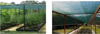 Tieniaca sieťka s 90% zatienením 135g/m2 1,2m x 25m