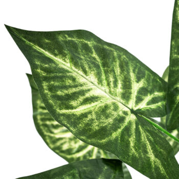 Umelá kvetina Syngonium v kvetináči