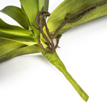 Umelý List orchidey s korienkami, 30 cm