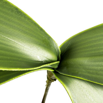 Umelý List orchidey, v. 20 cm