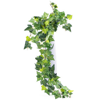 Umelý zväzok Brečtanu, 80 cm
