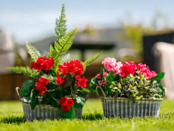 Predstavujeme vám elegantný kovový kvetináč Vagio, ktorý prichádza v praktickom balení dvoch kusov. Tento moderný kvetináč v sivom prevedení je ideálnym doplnkom pre váš interiér aj exteriér, pričom jeho nepravidelný tvar dodáva priestoru jedinečný vzhľad.
