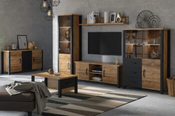 Obývací sektor VITTO to je kombinácia geometrických tvarov, zaujímavých detailov a farieb, ktoré Vám zabezpečia jedinečnú atmosféru industriálneho štýlu. Stavte na rozmanitú kolekciu nábytku a vytvorte si jedinečný interiér.Súčasťou sektoru VITTO je kombinovaná nízká komoda 26. Komoda má v strede tri šuplíky a po bokoch otváravé dvierka s úložnou policou. Komoda je vyrobená z veľmi kvalitného LTD materiálu.Komodu ponúkame v zaujímavom farebnom prevedení smrek appenzeller/čierny mat. Má elegantné úchytky čiernej farby.Rozmery:- šírka: 147 cm,- výška: 79 cm,- hĺbka: 43 cm.Dodávame v demonte, pričom montáž je veľmi jednoduchá.