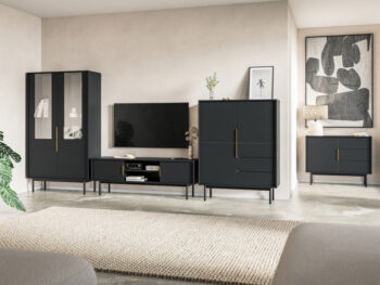 TV stolík Vivala v elegantnej čiernej farbe je ideálnym doplnkom pre moderné interiéry. Tento kus nábytku od značky KONDELA ponúka nielen štýlový vzhľad, ale aj praktické využitie. S rozmermi 154 cm na šírku, 39 cm na hĺbku a výškou 53,5 cm poskytuje dostatok…