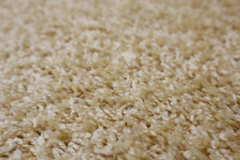 Vopi, Kusový koberec Color Shaggy béžový štvorec, 250x250, béžová, obývacia izba