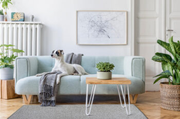 Vopi, Kusový koberec Eton sivý 73, 50x80, šedá, chodba / predsieň