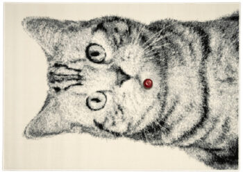 Alfa Carpets, Kusový koberec Cat grey, 190x280, šedá, detská izba