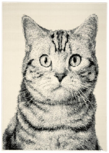 Alfa Carpets, Kusový koberec Cat grey, 190x280, šedá, detská izba
