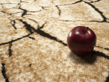 Alfa Carpets, Kusový koberec Superwood brown, 120x170, hnedá, chodba / predsieň