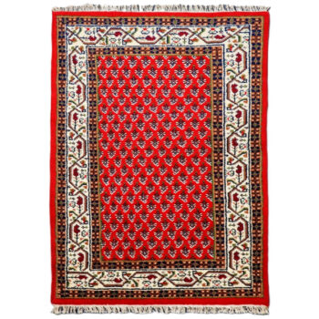 Asra, Ručne všívaný kusový koberec Asra wool ivory, 170x240, červená, obývacia izba