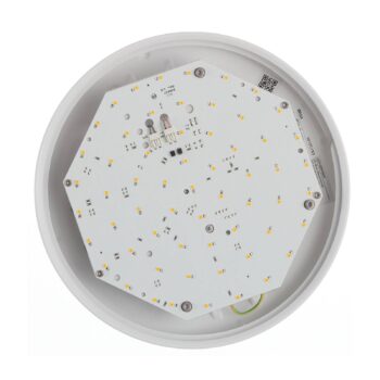 BEGA 12128 LED stropné svietidlo DALI 930 oceľ 26cm