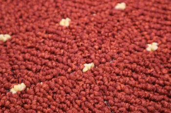 Condor Carpets, AKCIA: 250x355 cm Kusový koberec Udinese terra - neúčtujeme odrezky z role - obšitý zo všetkých strán, šíře, oranžová, filc, chodba / predsieň