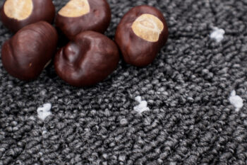 Condor Carpets, AKCIA: 300x340 cm Koberec metráž Udinese antracitový - neúčtujeme odrezky z role - obšitý zo všetkých strán, šíře, čierna, filc, chodba / predsieň